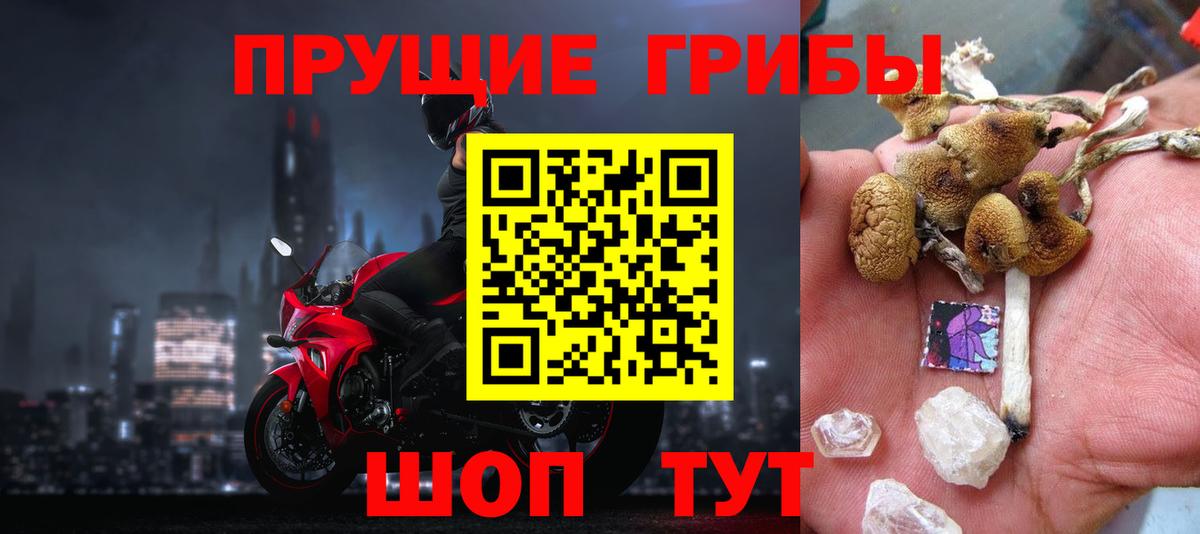 Галлюциногенные грибы прущие грибы Рославль